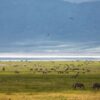 1-day-safari-ngorongoro-crater-tour-2-randu