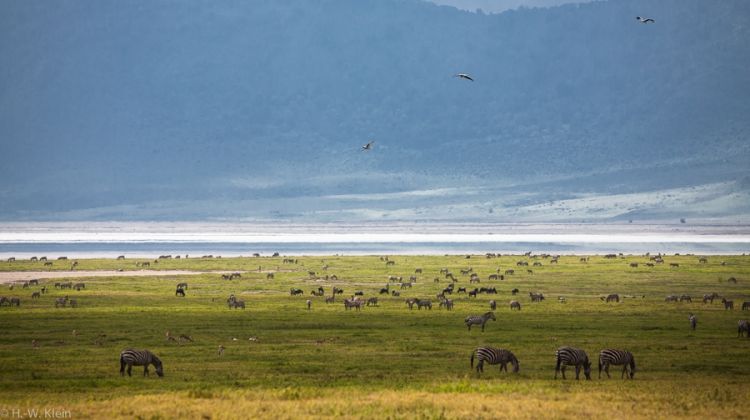 1-day-safari-ngorongoro-crater-tour-2-randu