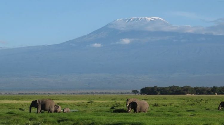 amboseli national park kenya randu safari
