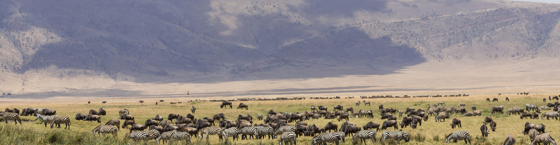 ngorongoro-crater-06