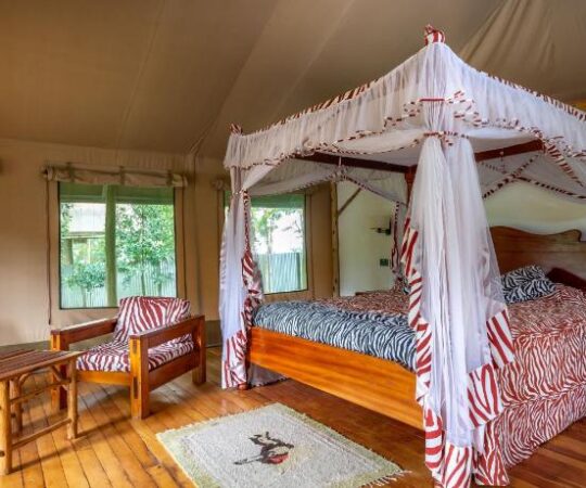 lake naivasha crescent camp room