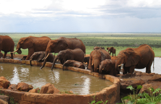 voi-safari-lodge-tsavo-east-kenya-3