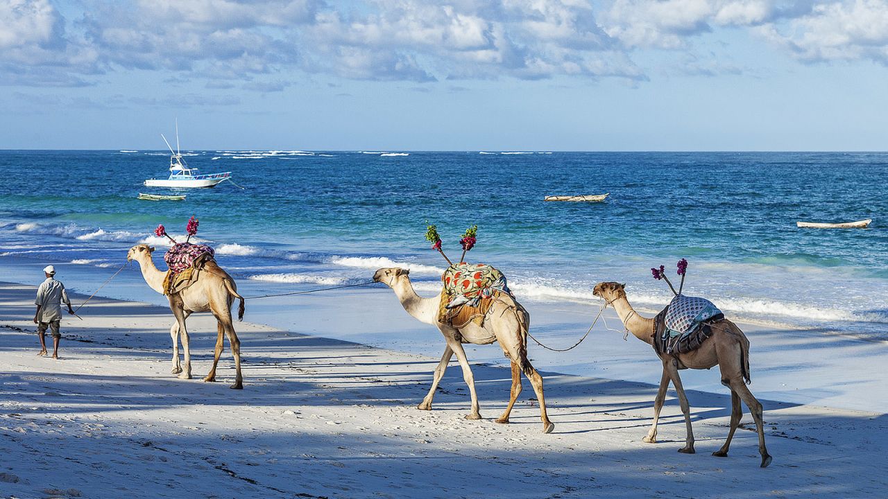 Diani Beach safaris